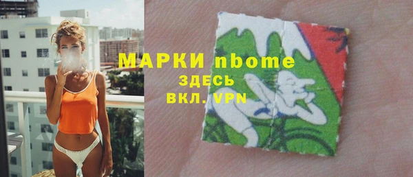 шишки Белокуриха