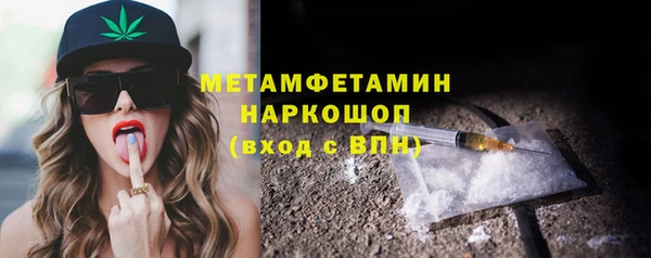 шишки Белокуриха