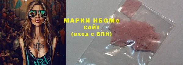 шишки Белокуриха