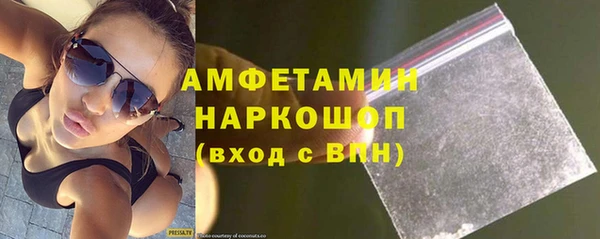 шишки Белокуриха