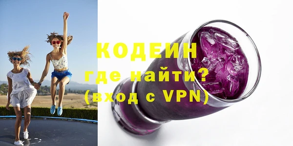 шишки Белокуриха