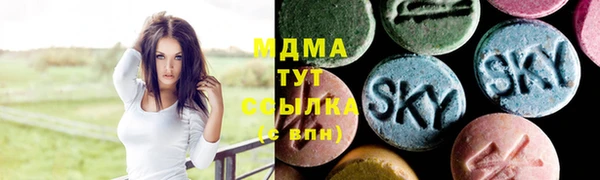 шишки Белокуриха