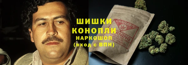 шишки Белокуриха