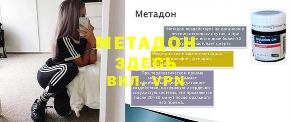 шишки Белокуриха