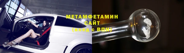 шишки Белокуриха