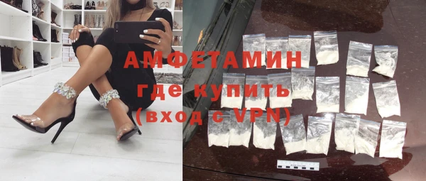 шишки Белокуриха