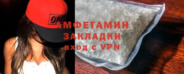 шишки Белокуриха